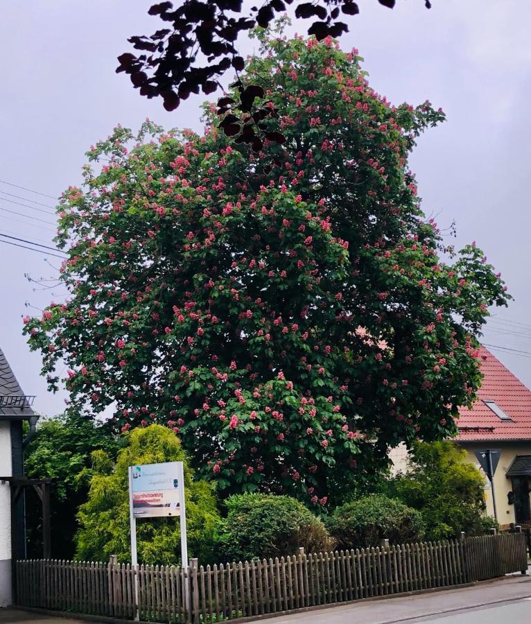 Gemuetliche Fewo Naehe Hachenburg, Bad Marienberg Langenbach bei Kirburg 外观 照片